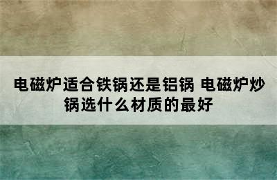 电磁炉适合铁锅还是铝锅 电磁炉炒锅选什么材质的最好